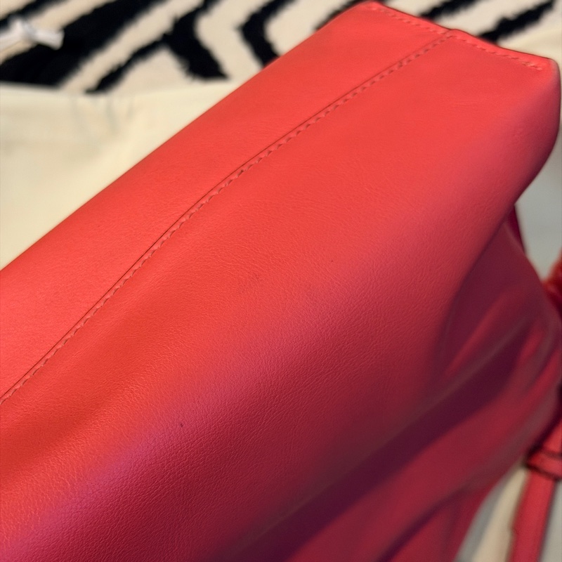 Loewe flamenco mini 珊瑚粉 斜背 肩背 手提-12