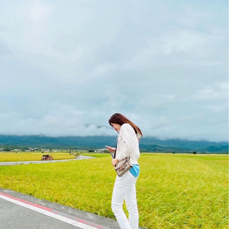 Gucci 1955 Hirsebit馬鞍扣斜背包（鳥木色）-3