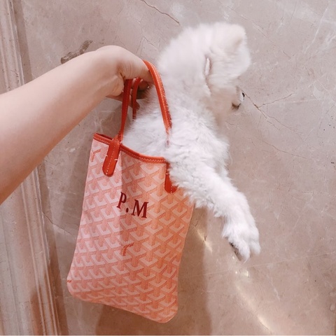 【全新✨少女心爆棚💅🏻稀有色🩷】Goyard tote mini 樱花粉 托特包 限定版