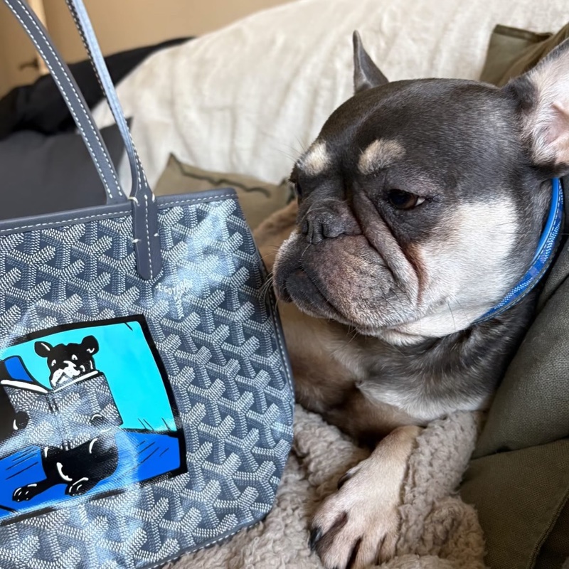 【法鬥聯盟舉手🤚🏻❤️限量稀有✨愛他就背他上身】Goyard限量款法鬥迷你購物袋 灰色｜子母包｜托特包｜手提包-0