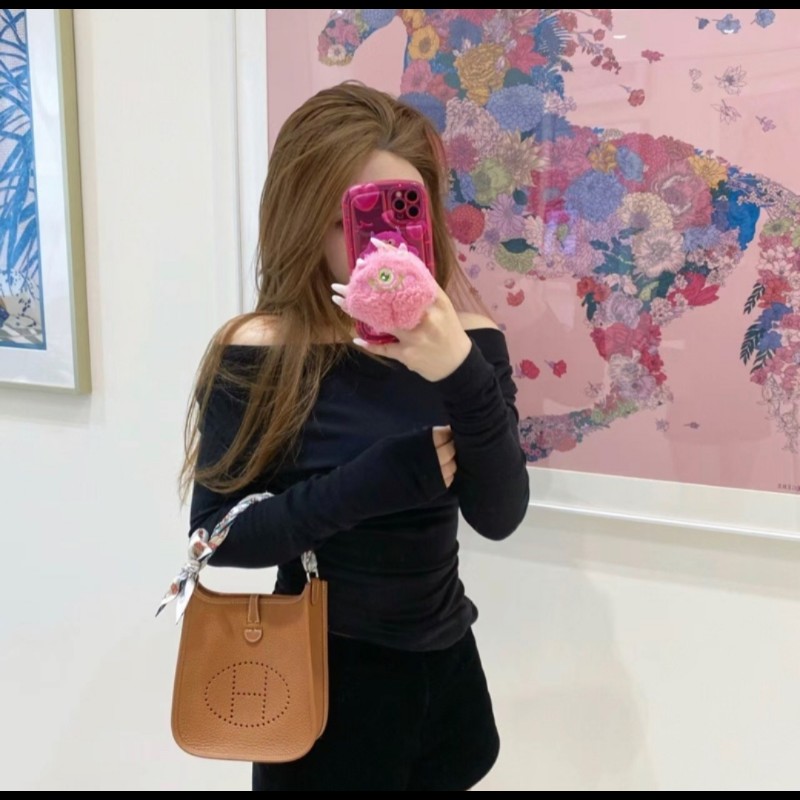 Hermes mini evelyne Bag 金棕金-1