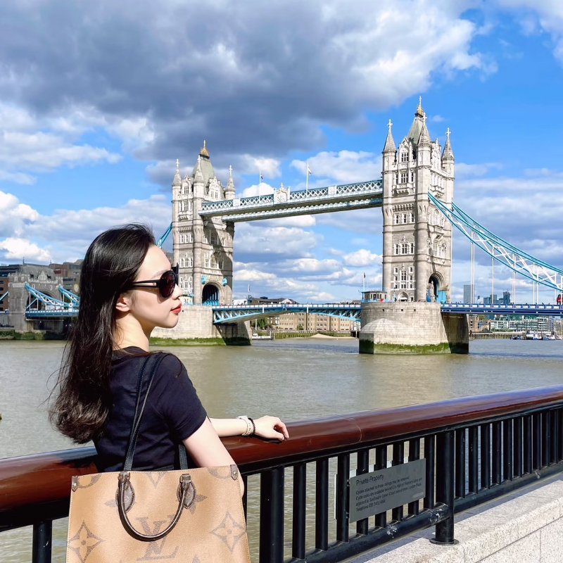 LOUIS VUITTON On the go - MM-1