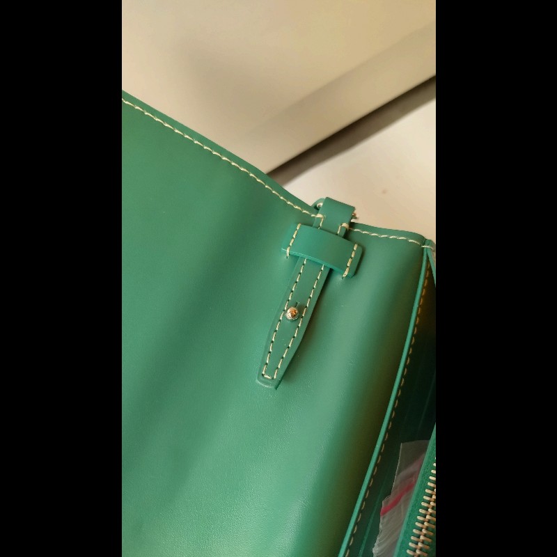 Goyard 綠色印花下蓋小斜背包 verenne continental wallet-20