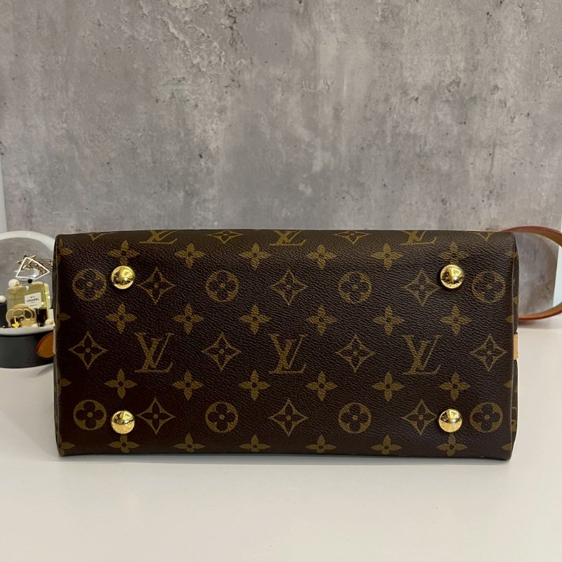 LV Carryall PM M46203 芯片款-5