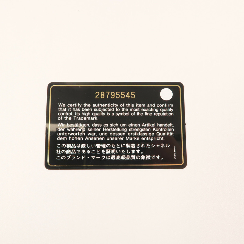 CHANEL WOC Wallet On Chain銀扣鏈帶肩背袋-13