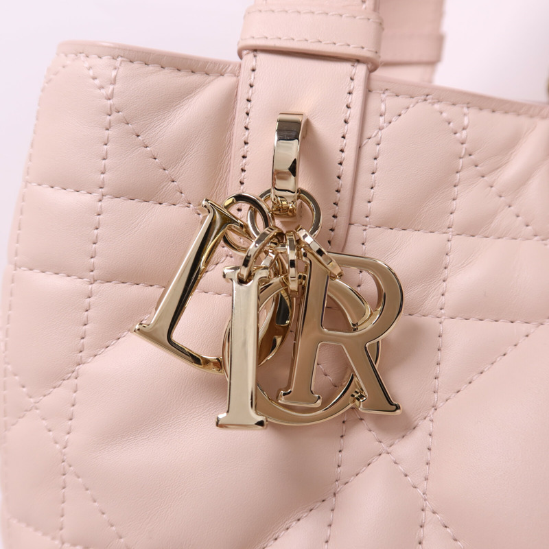 Dior 牛皮皮革Medium Toujours Bag金扣手挽袋-10