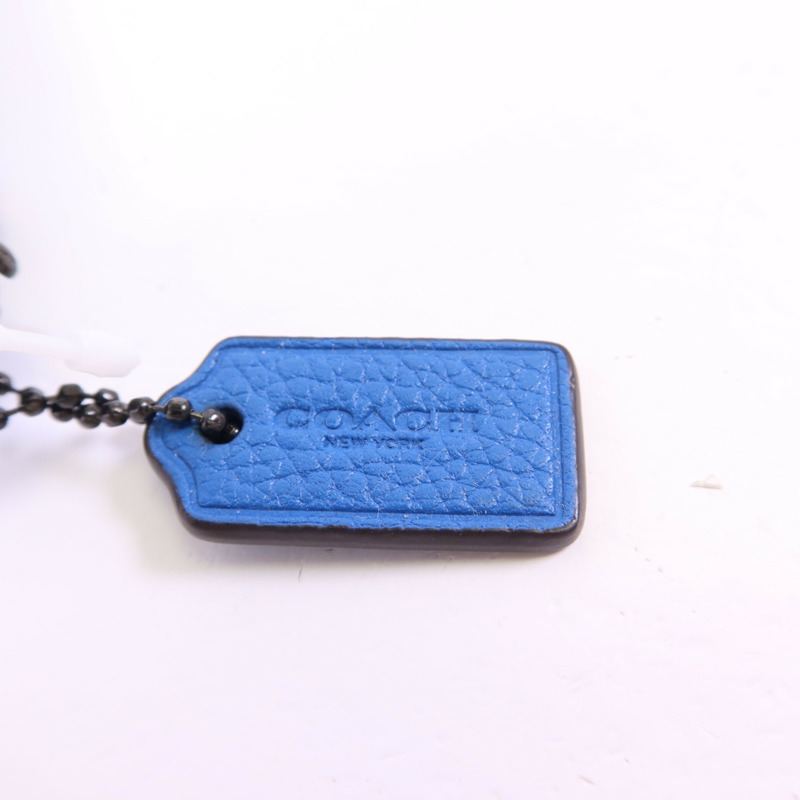 COACH 牛皮皮革Pouch手拿包-8