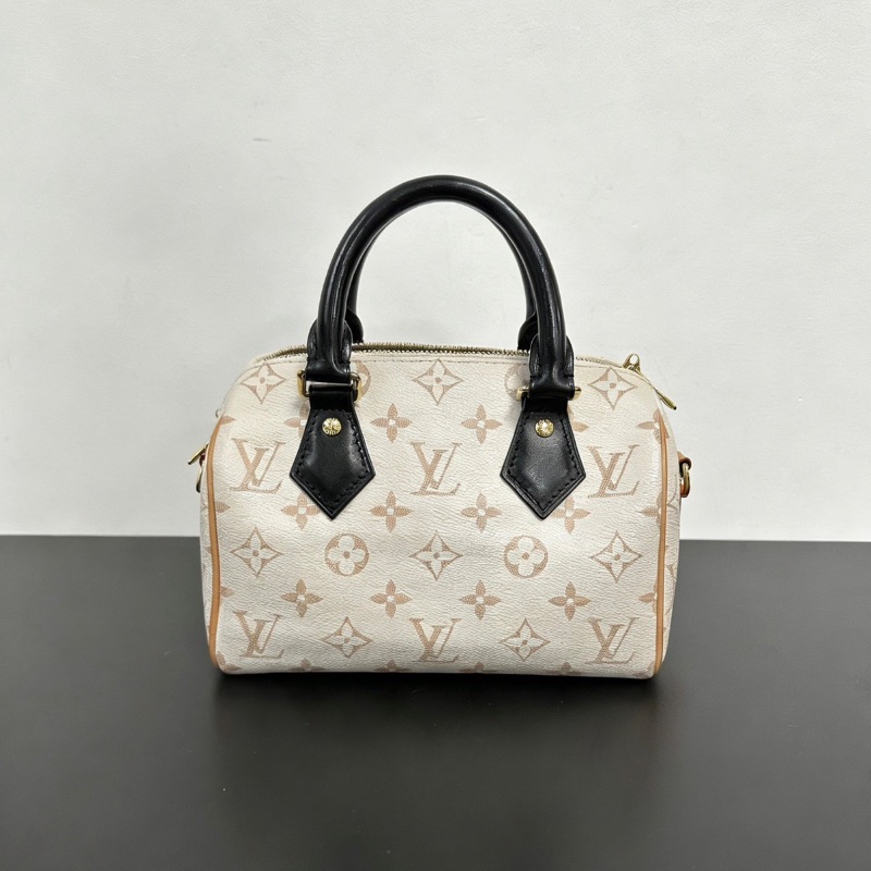 lv sp20 沙丘芯片款 手提肩背斜背包24*16  98新配件塵袋鑰匙鎖-5