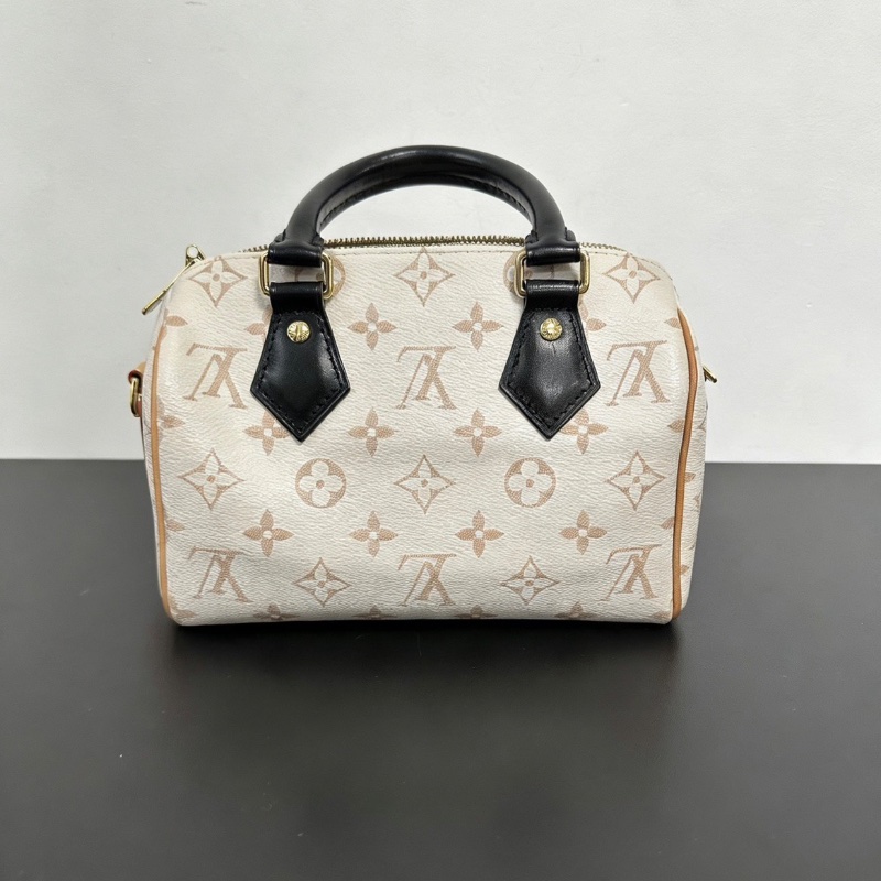 lv sp20 沙丘芯片款 手提肩背斜背包24*16  98新配件塵袋鑰匙鎖-6