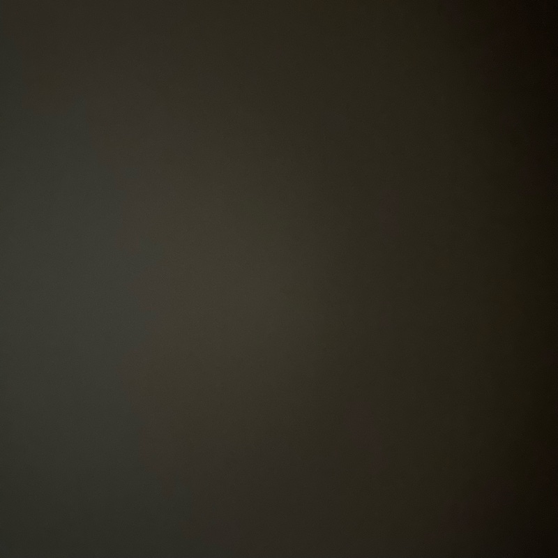 全新香奈兒手拿包-3