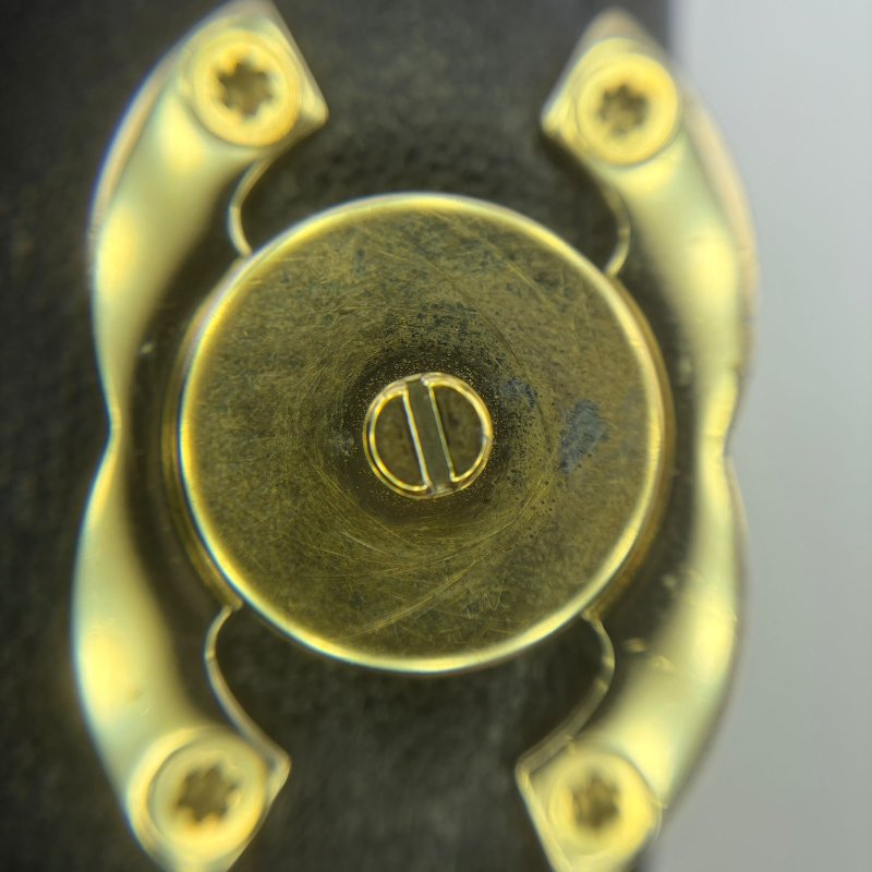 Chanel 握把 WOC 黑金羊皮包-19