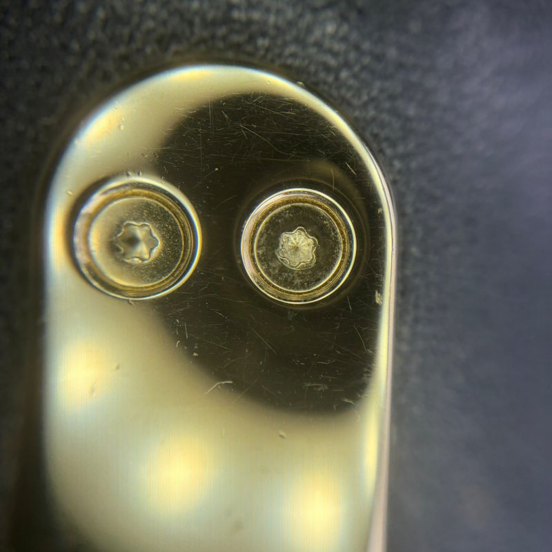 Chanel 握把 WOC 黑金羊皮包-22