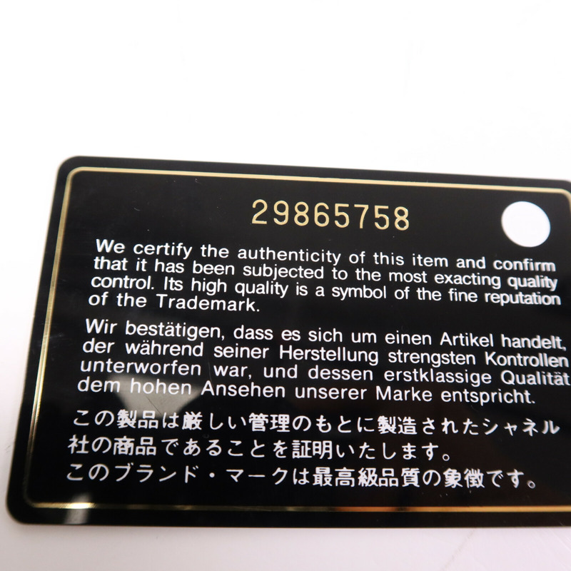 CHANEL 牛皮皮革Gabrielle Small鏈帶肩背袋-14