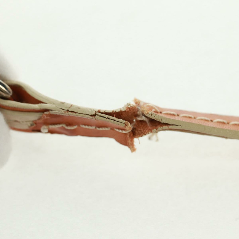 【日本直送】Christian Dior Trotter帆布浪漫手提包 PVC米色銀色 正品 168086V-7