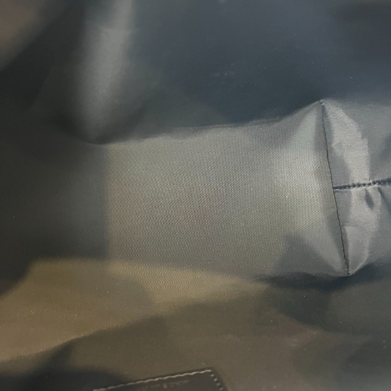 DIOR  老虎Travel Nomad 中型手拿包(科技布料)-5