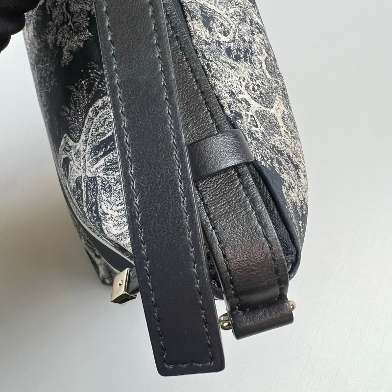DIOR  老虎Travel Nomad 中型手拿包(科技布料)-8