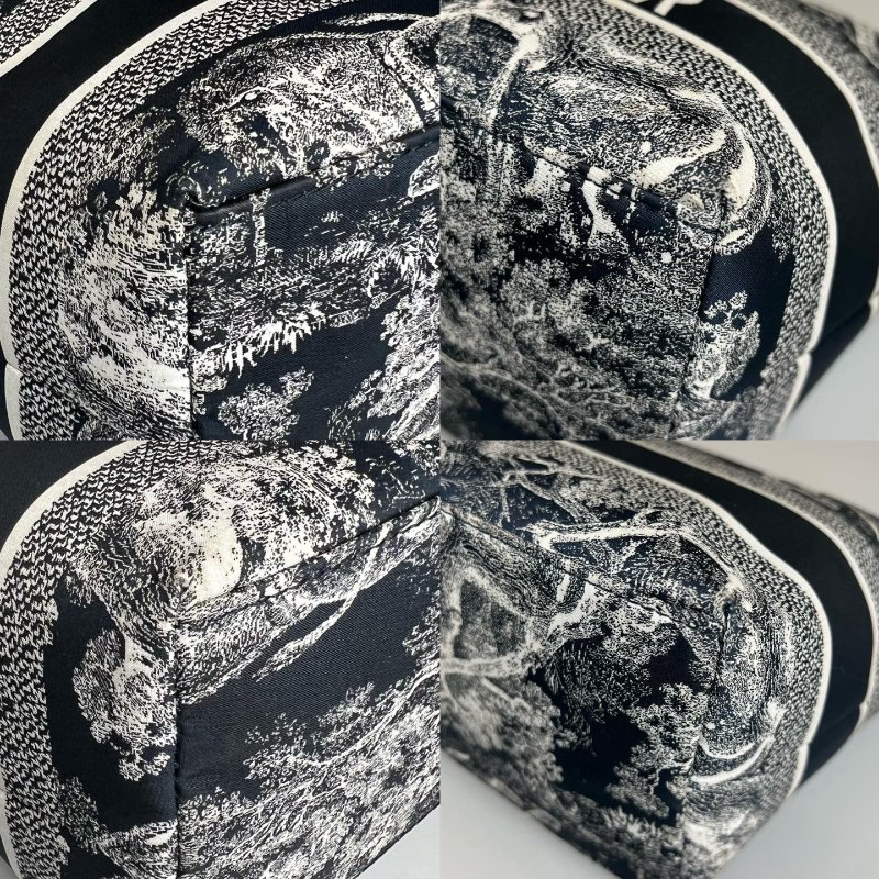 DIOR  老虎Travel Nomad 中型手拿包(科技布料)-9