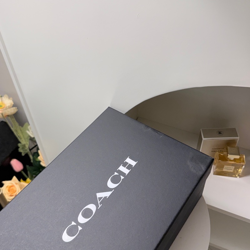 COACH 馬車質感粗跟鞋-3