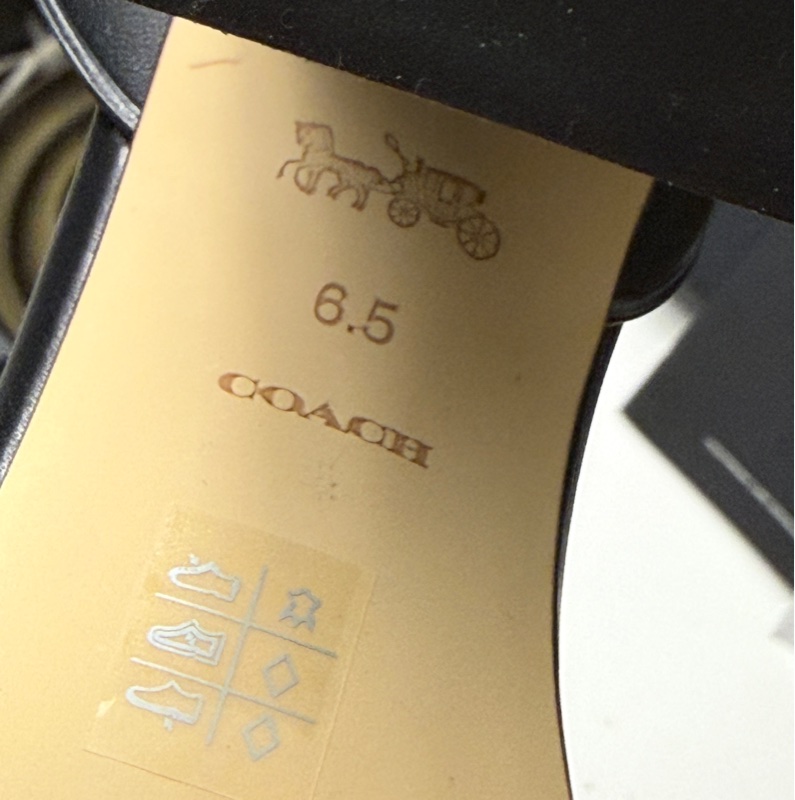 COACH 馬車質感粗跟鞋-11