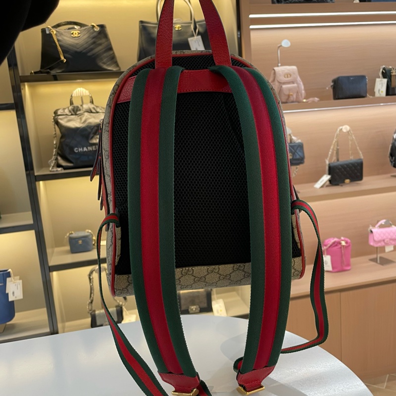 Gucci波士顿梗犬刺绣双肩包-3