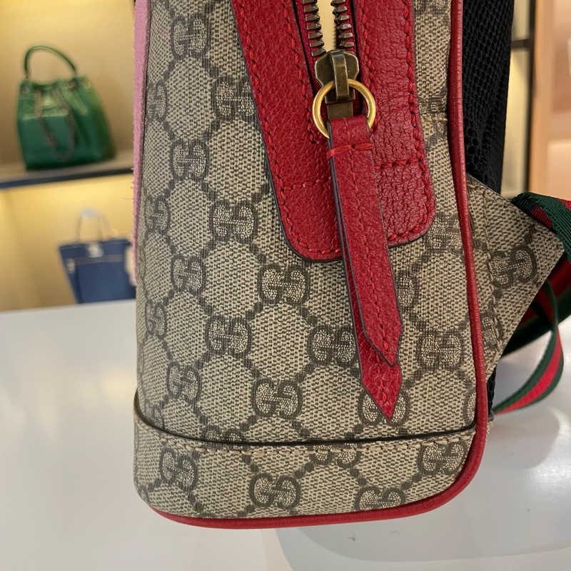Gucci波士顿梗犬刺绣双肩包-14