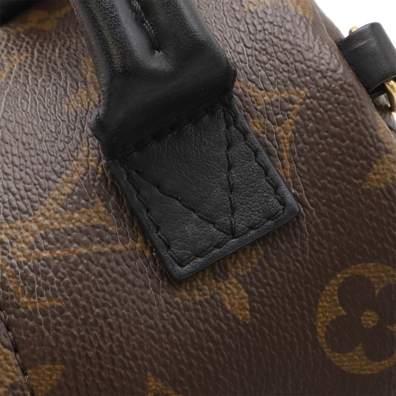 路易威登 Monogram Palm Springs 迷你雙肩包，皮革，M41562-5