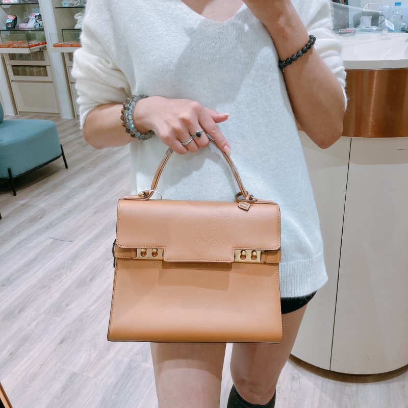 TK1946 Delvaux 德爾沃兩用包包 Tempete MM Shoulder Bag Calfskin-1