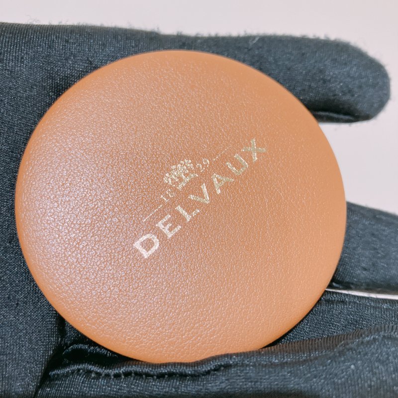 TK1946 Delvaux 德爾沃兩用包包 Tempete MM Shoulder Bag Calfskin-26