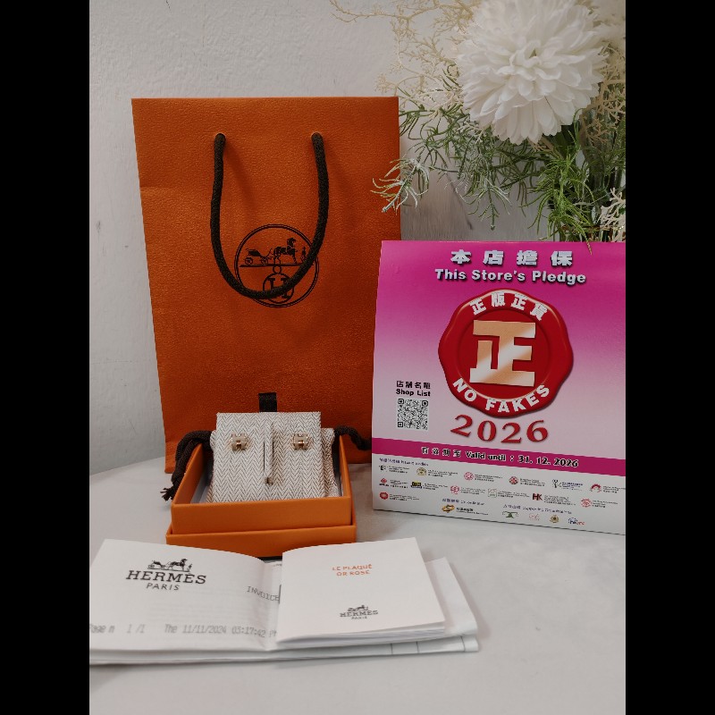 Hermes Pop H earrings-1