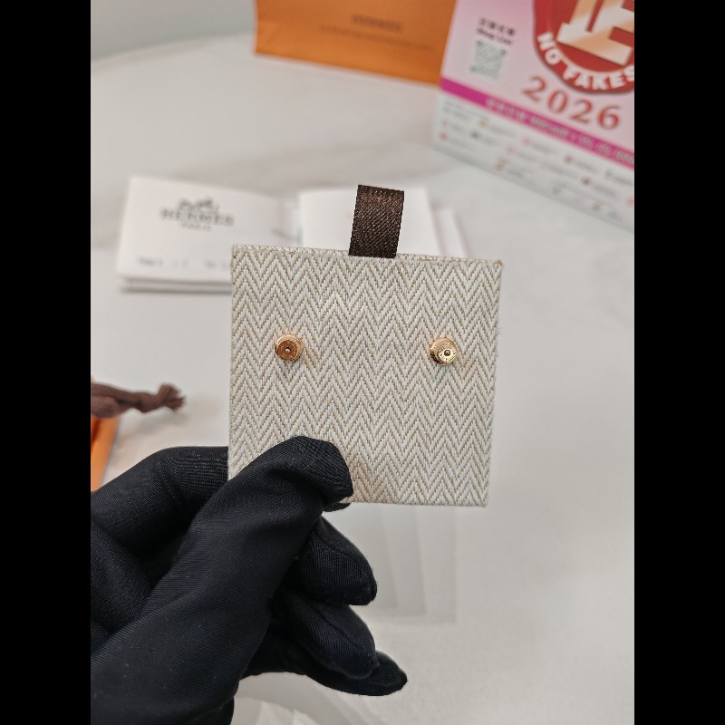Hermes Pop H earrings-2