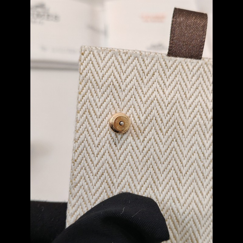 Hermes Pop H earrings-3