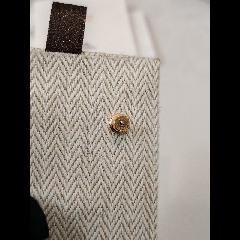 Hermes Pop H earrings-4