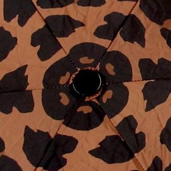 【COACH】豹紋抗UV遮陽三折傘-1