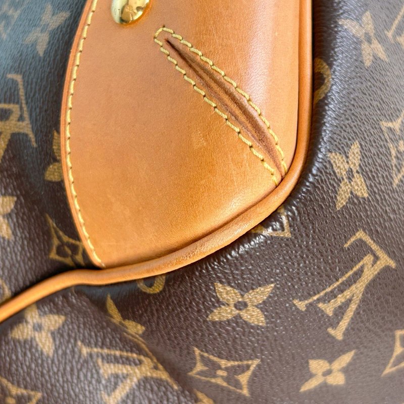 路易威登/Louis Vuitton 老花塗層帆佈托特狩獵包 肩背包-11