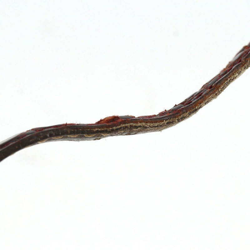 卡地亞 Must Coliesée SM GP W1000653 石英錶-4