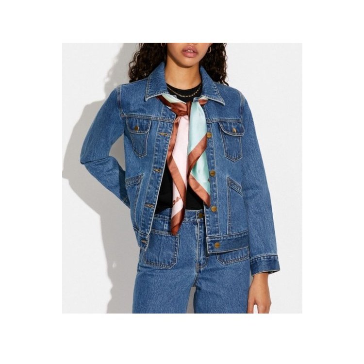 【COACH】漸層REXY 恐龍印花真絲方巾-1