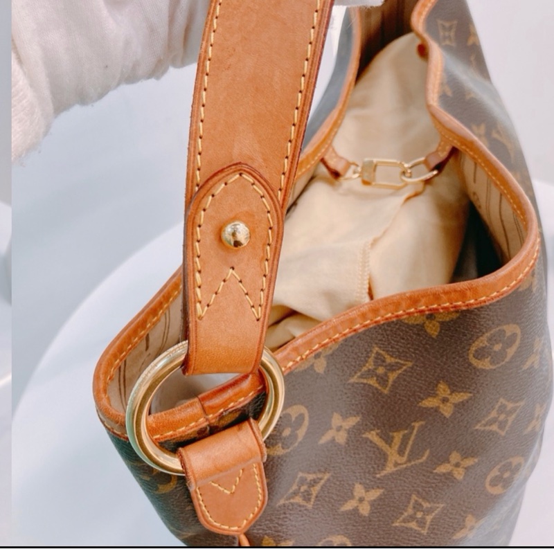 Louis Vuitton (路易威登)  Delightful MM   MS0538-2