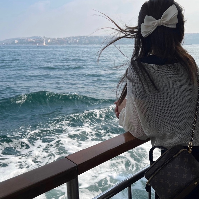 Lv 經典拼色化妝包(鎖頭未拆封未使用過)-1