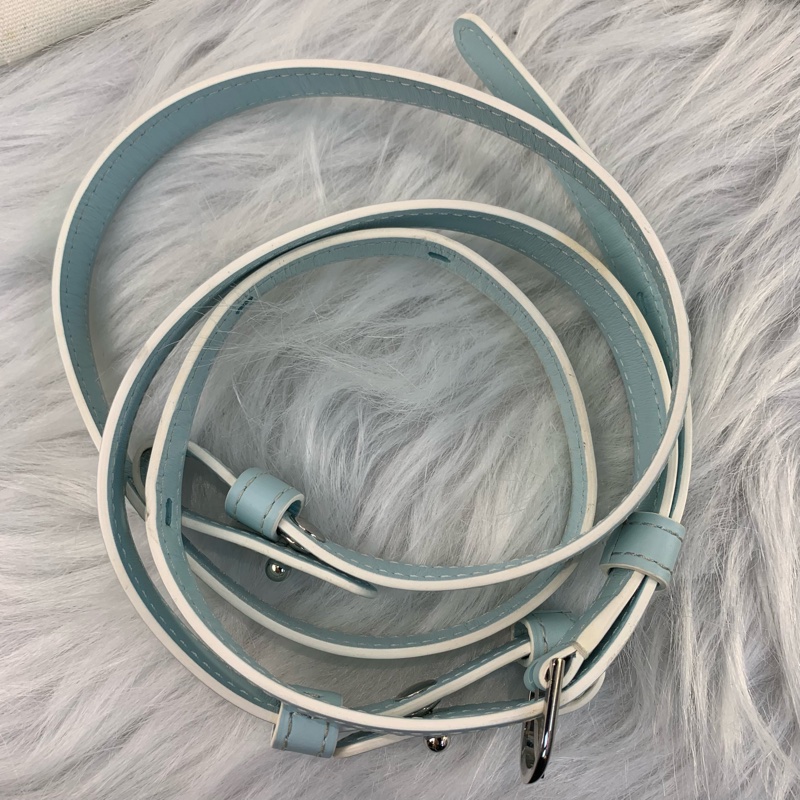 [FULL SET] Delvaux Brillant baby blue 超罕有全套🩵-1