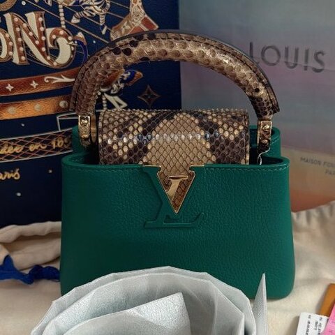 閒置新 路易威登/Louis Vuitton 新款綠色Capucines Mini蛇皮手提包