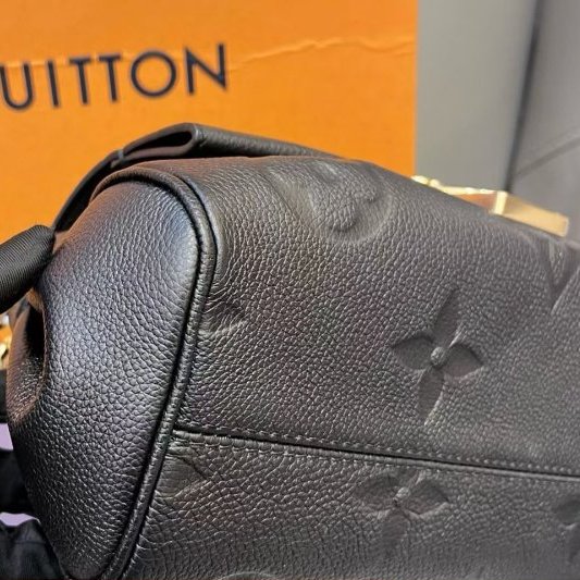 近新品 路易威登/Louis Vuitton 黑金全皮Favorite摯愛雲朵包 芯片款-8