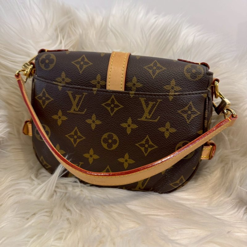 LV Saumur雙子星 手提斜背包-1