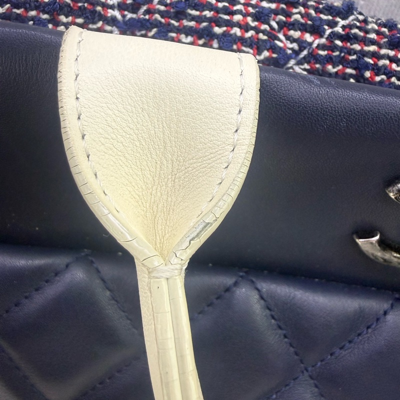 Chanel Handbag-5