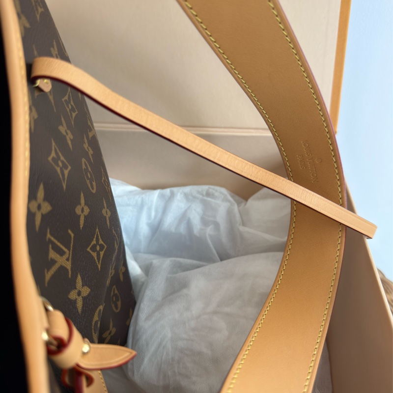 近新LV老花Carry All PM側背包肩背包M46203-17