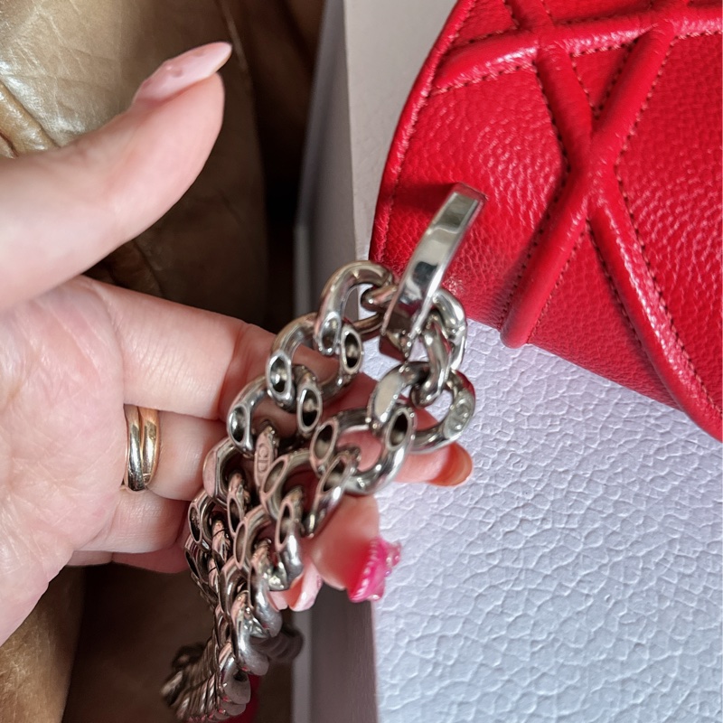 Diorama迪奧盾牌包(很新顏色好美)-20