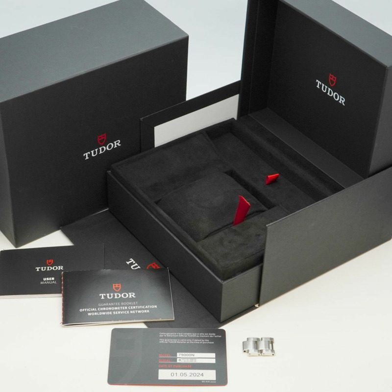 帝舵碧灣系列 79000N 錶盤男士腕錶-1