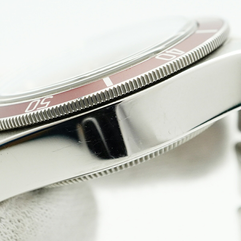 帝舵碧灣系列 79230R 錶盤男士腕錶-7