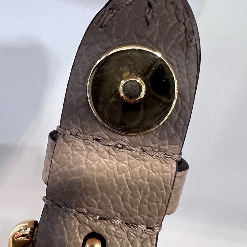 LV 斑鳩灰壓紋Diane金釦下蓋肩斜背包-12