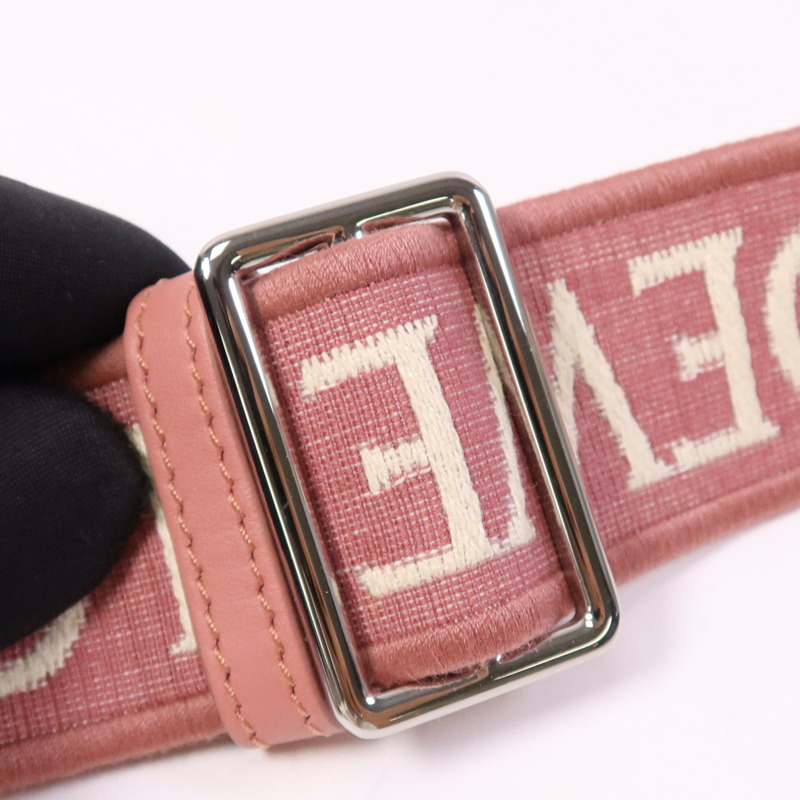 LOEWE 牛皮皮革Mini Gate Dual銀扣肩背袋-14