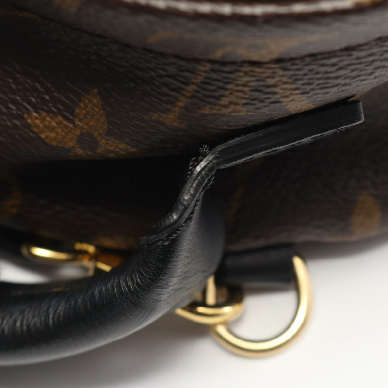 路易威登 Palm Springs 迷你雙肩包 M44873 Monogram 棕色黑色-4